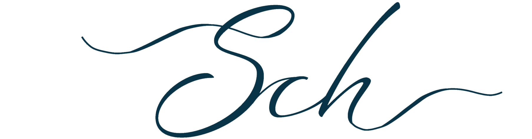 Logo Schmitt